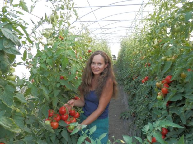 Na farmě Kozozel mají vedle skleníků květiny