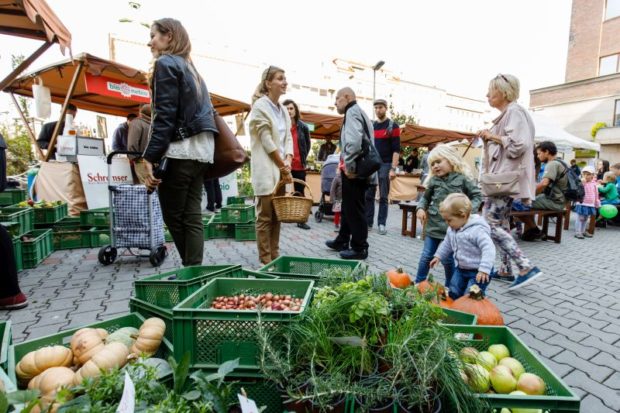 Zelenina na Biojarmarku 2018