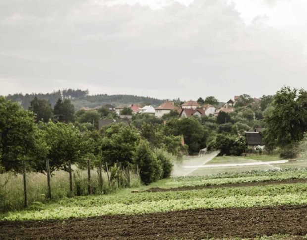 Pozemky ekozemědělce pana Košaře