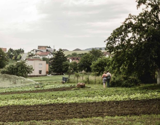 Ekozemědělec pan Košař s manželkou ve svém zahradnictví