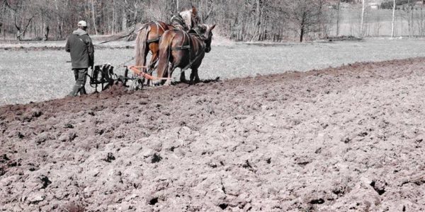 polní den na farmě Lukava