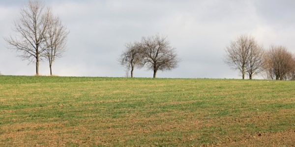 Polní den na ekofarmě Javorník