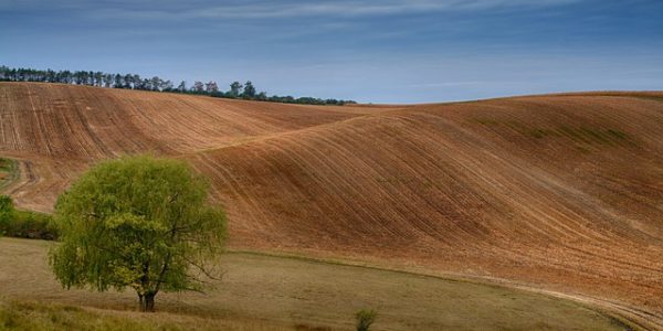 Na ekofarmě Agroton ve Velkých Hostěrádkách proběhne setkání na téma Protierozní opatření zemědělství