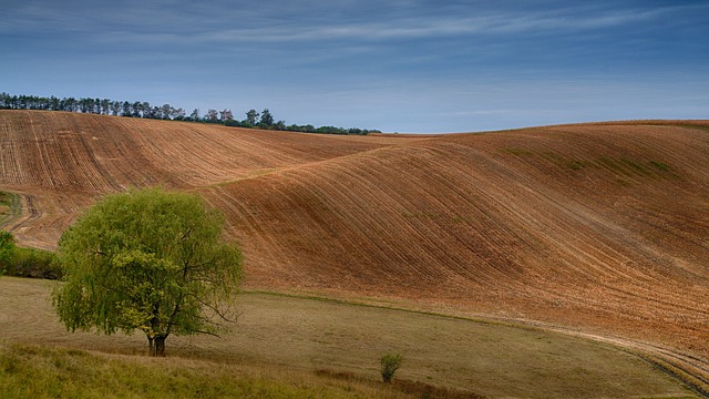 Na ekofarmě Agroton ve Velkých Hostěrádkách proběhne setkání na téma Protierozní opatření zemědělství
