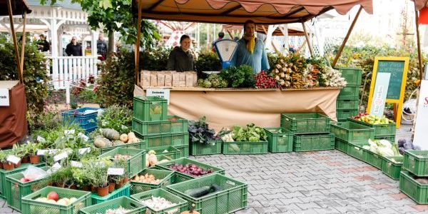● Podělíme se s vámi o zkušenosti z fungování sítí KPZ (komunitou podporovaného zemědělství)
