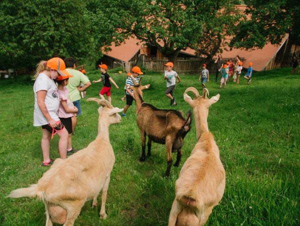 Exkurze na ekofarmu Hospodářství Pod Strážným vrchem