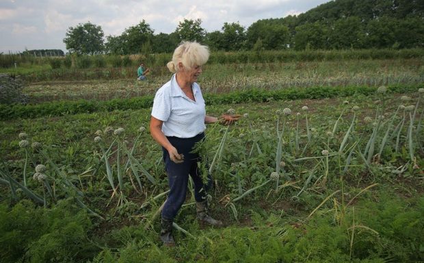 Danuše Vymětalová na své farmě